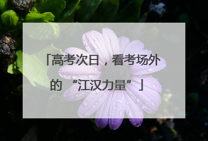 高考次日，看考场外的 “江汉力量”