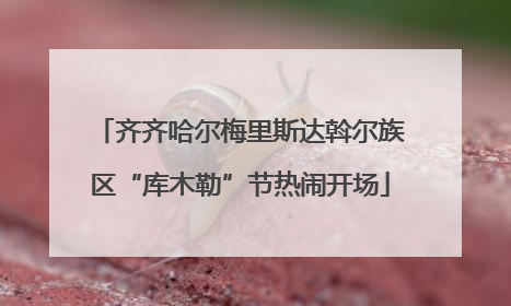 齐齐哈尔梅里斯达斡尔族区“库木勒”节热闹开场