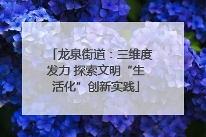 龙泉街道：三维度发力 探索文明“生活化”创新实践