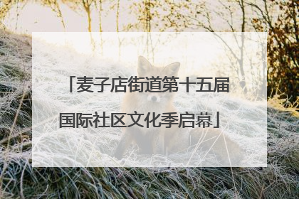 麦子店街道第十五届国际社区文化季启幕