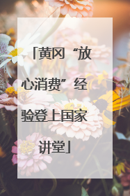 黄冈“放心消费”经验登上国家讲堂