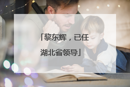 黎东辉，已任湖北省领导