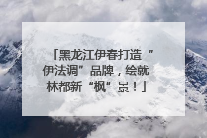 黑龙江伊春打造“伊法调”品牌，绘就林都新“枫”景！