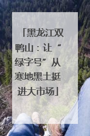 黑龙江双鸭山：让“绿字号”从寒地黑土挺进大市场