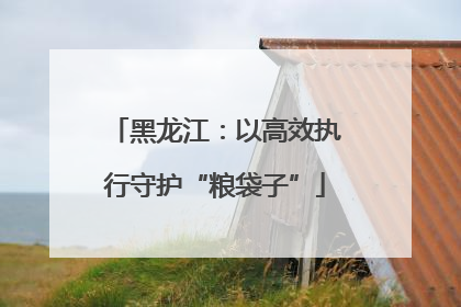 黑龙江：以高效执行守护“粮袋子”