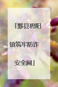 黟县碧阳镇筑牢防诈安全网