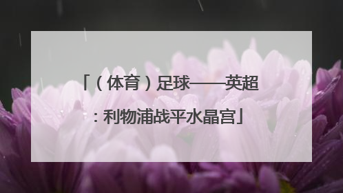 （体育）足球——英超：利物浦战平水晶宫