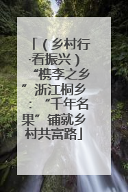 （乡村行·看振兴）“槜李之乡”浙江桐乡：“千年名果”铺就乡村共富路