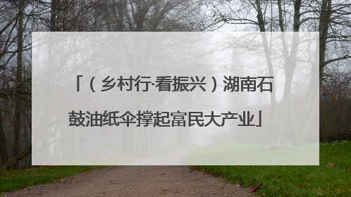 （乡村行·看振兴）湖南石鼓油纸伞撑起富民大产业