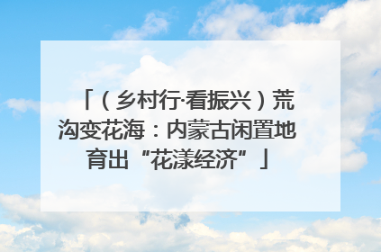 （乡村行·看振兴）荒沟变花海：内蒙古闲置地育出“花漾经济”