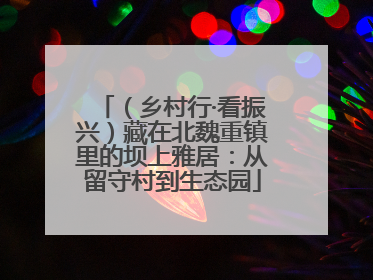 （乡村行·看振兴）藏在北魏重镇里的坝上雅居：从留守村到生态园