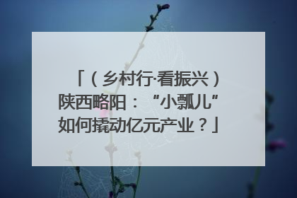 （乡村行·看振兴）陕西略阳：“小瓢儿”如何撬动亿元产业？