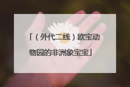 （外代二线）欧宝动物园的非洲象宝宝