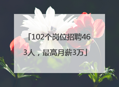 102个岗位招聘463人，最高月薪3万