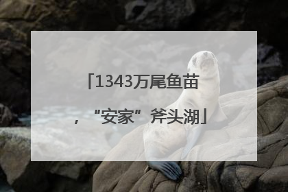 1343万尾鱼苗，“安家”斧头湖