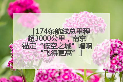 174条航线总里程超3000公里，南京锚定“低空之城”唱响“飞得更高”