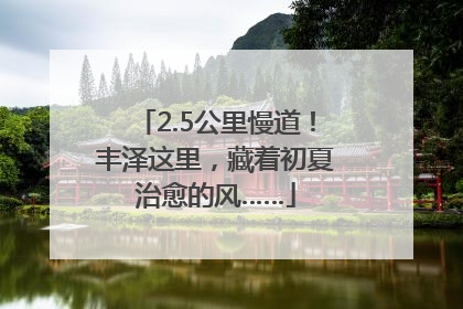 2.5公里慢道！丰泽这里，藏着初夏治愈的风……