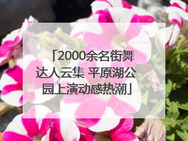 2000余名街舞达人云集 平原湖公园上演动感热潮
