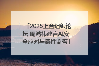 2025上合组织论坛 周鸿祎建言AI安全应对与柔性监管