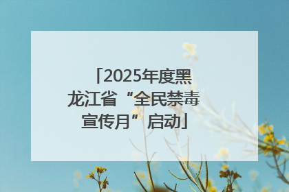 2025年度黑龙江省“全民禁毒宣传月”启动