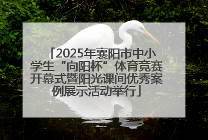 2025年襄阳市中小学生“向阳杯”体育竞赛开幕式暨阳光课间优秀案例展示活动举行