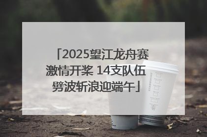 2025望江龙舟赛激情开桨 14支队伍劈波斩浪迎端午