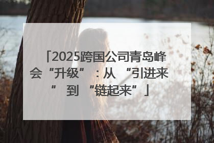2025跨国公司青岛峰会“升级”：从 “引进来” 到 “链起来”