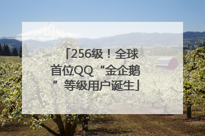 256级！全球首位QQ“金企鹅”等级用户诞生