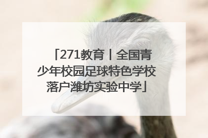 271教育丨全国青少年校园足球特色学校落户潍坊实验中学