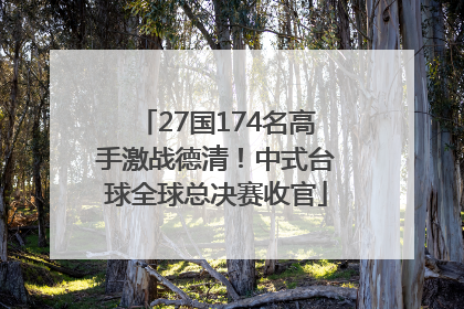 27国174名高手激战德清！中式台球全球总决赛收官