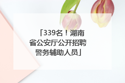 339名！湖南省公安厅公开招聘警务辅助人员