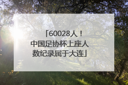 60028人！中国足协杯上座人数纪录属于大连