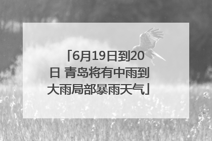6月19日到20日 青岛将有中雨到大雨局部暴雨天气