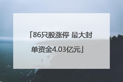 86只股涨停 最大封单资金4.03亿元