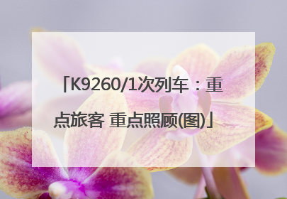 K9260/1次列车：重点旅客 重点照顾(图)