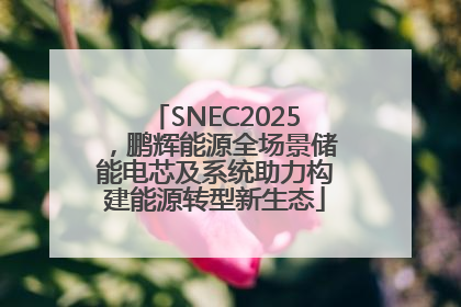 SNEC2025，鹏辉能源全场景储能电芯及系统助力构建能源转型新生态